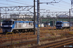 稲沢駅にてEF210