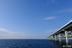 りんくう公園にて関空連絡橋