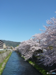 来年はこんなのを撮りたい