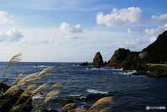 越前海岸