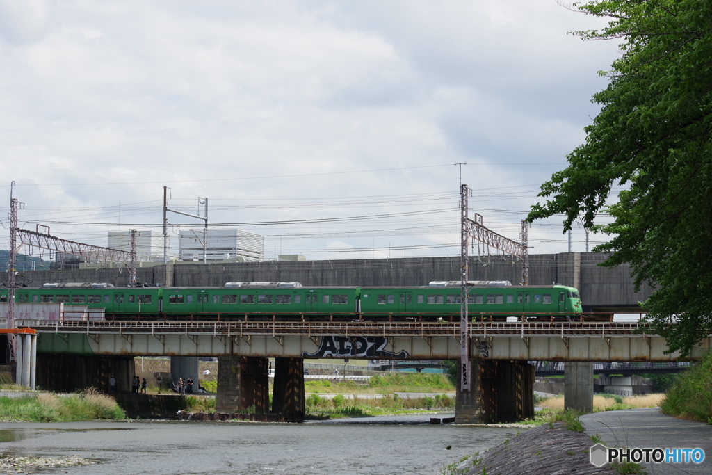 鴨川を渡る117系