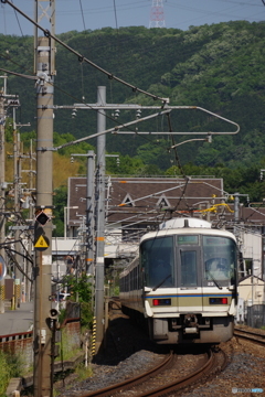 大和路線の221系