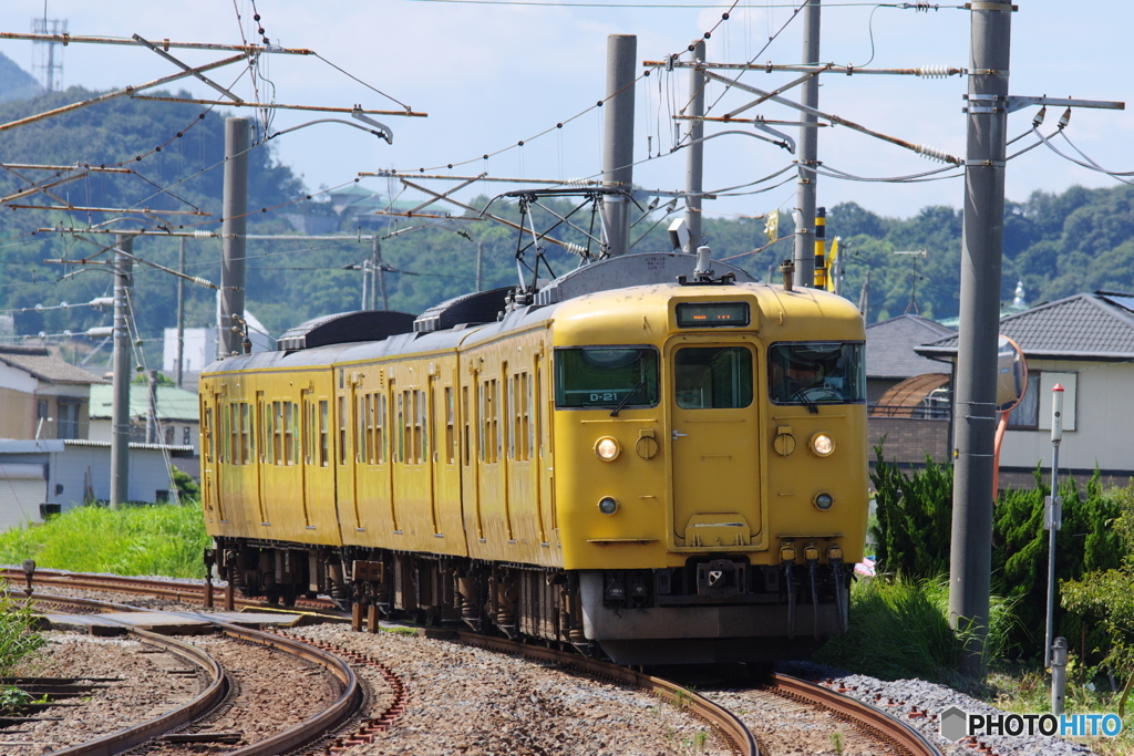 予讃線を走る115系