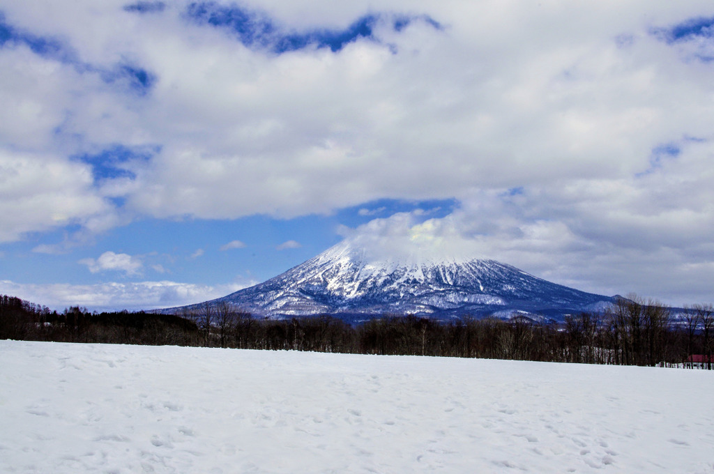 山は苦手ですが