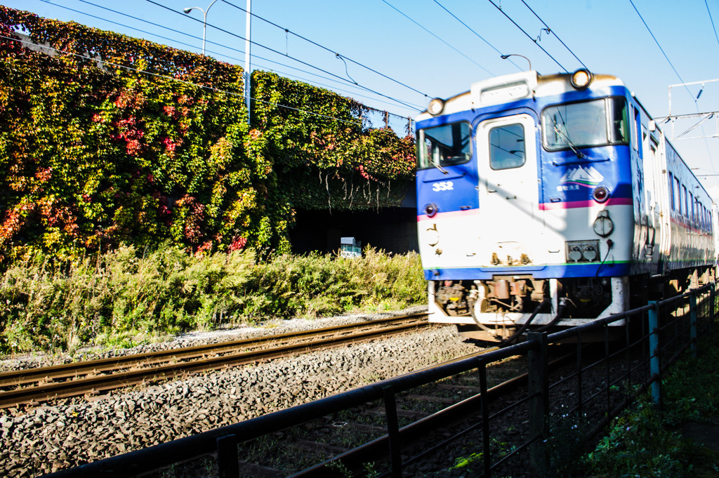 紅葉し始めの蔦と　輪西駅到着