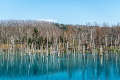 青い池