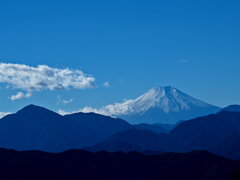 高尾山から見た富士山