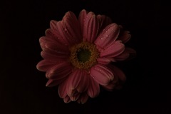 In the dark