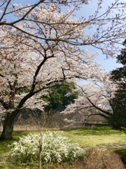 春
