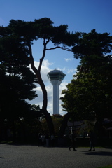 DSC00789