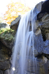 百合が原公園_世界の庭園_瀋芳園
