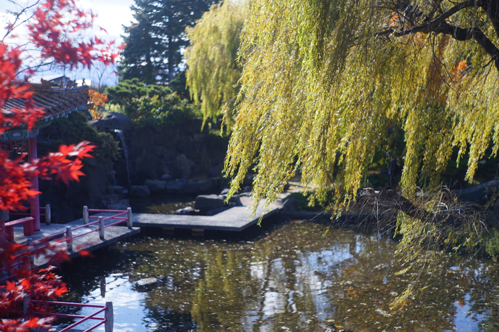 百合が原公園_世界の庭園_瀋芳園
