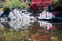 百合が原公園_世界の庭園_瀋芳園