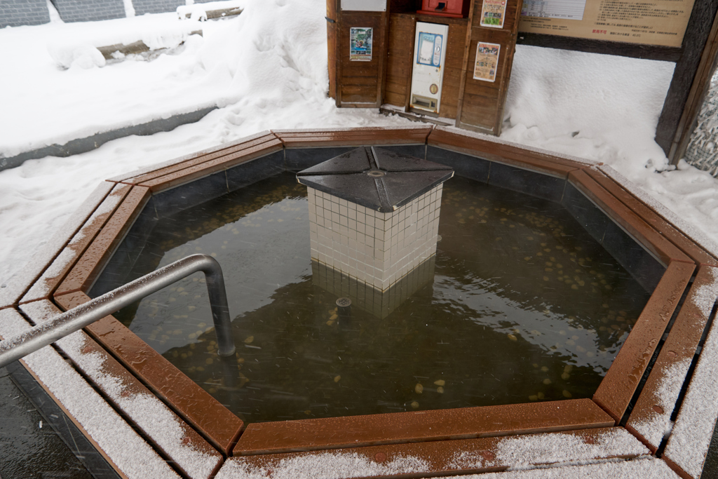 1 23 2018DSC01380