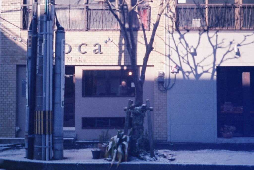 CUOCA