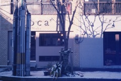 CUOCA