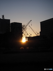 ビルと夕陽