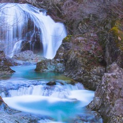 20190402_112350_273