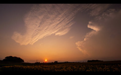 2019-08-05-19-22-14