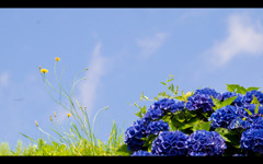 2019-07-25-16-16-32