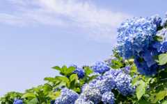 2019-07-25-16-14-59