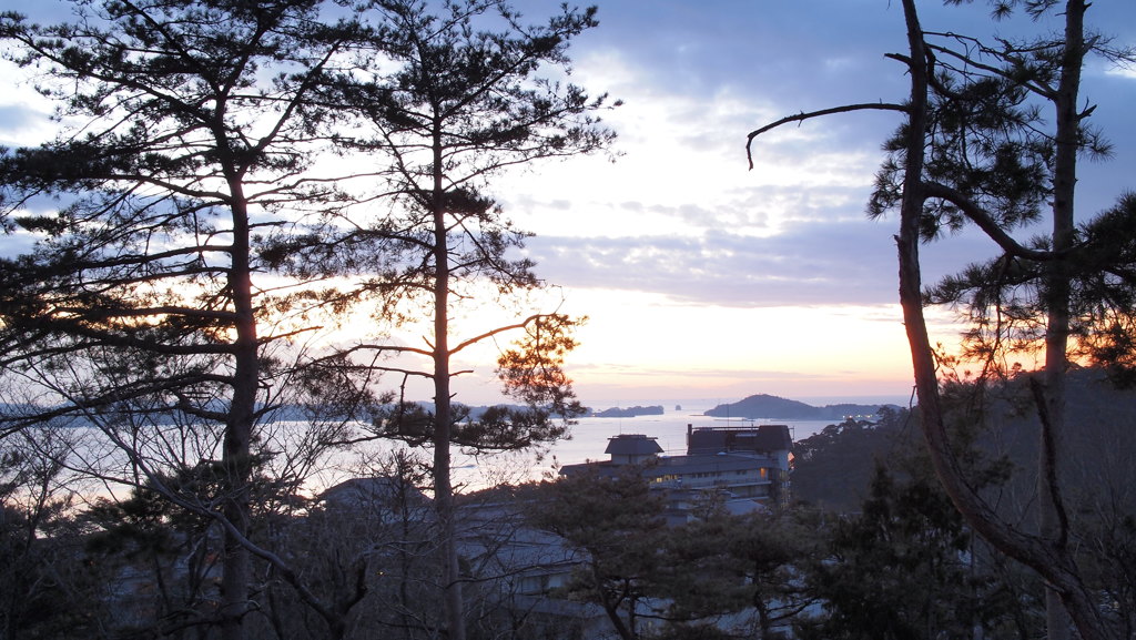 １月の海
