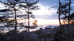 １月の海