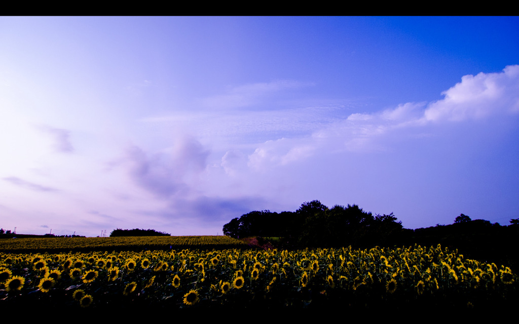 2019-08-05-17-27-16