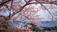 20190420_18064