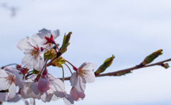 20190428_023938