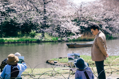 三渓園の桜