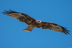 ひさしぶりの青空