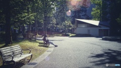 公園の孤独