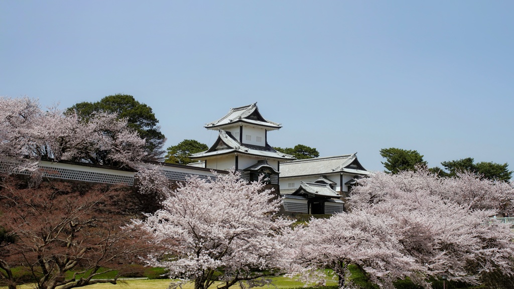 沈床園側から望む石川門