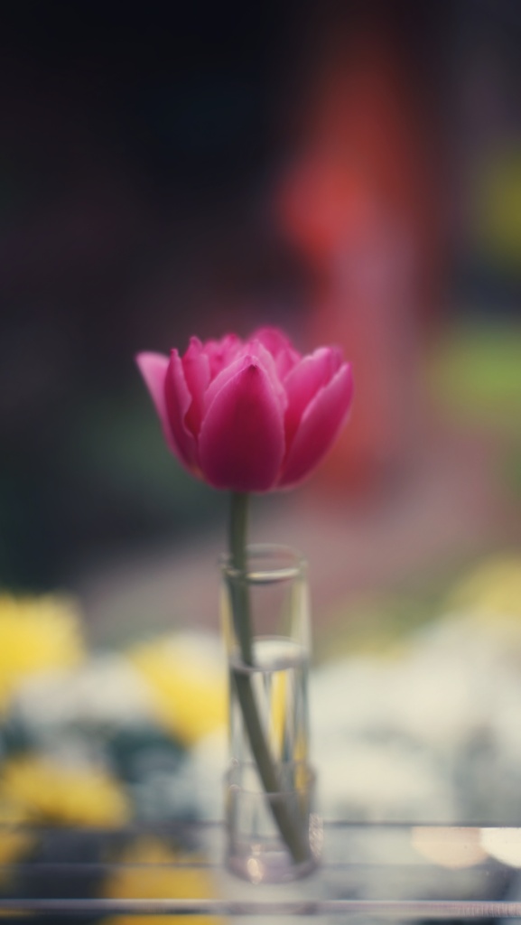 儚げ
