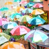 Umbrella Sky