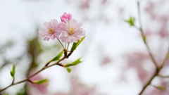 毎度のご無沙汰