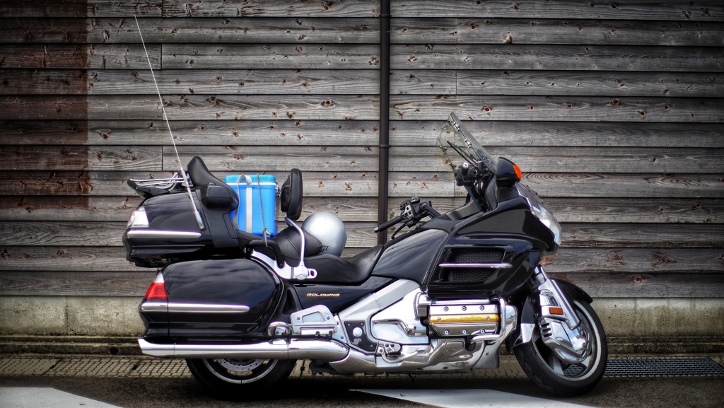 GOLDWING