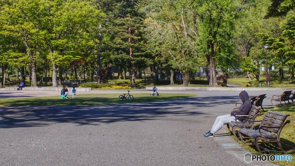 公園の日常