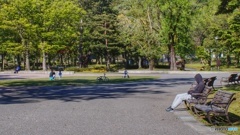 公園の日常