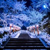 雪と鞍馬寺