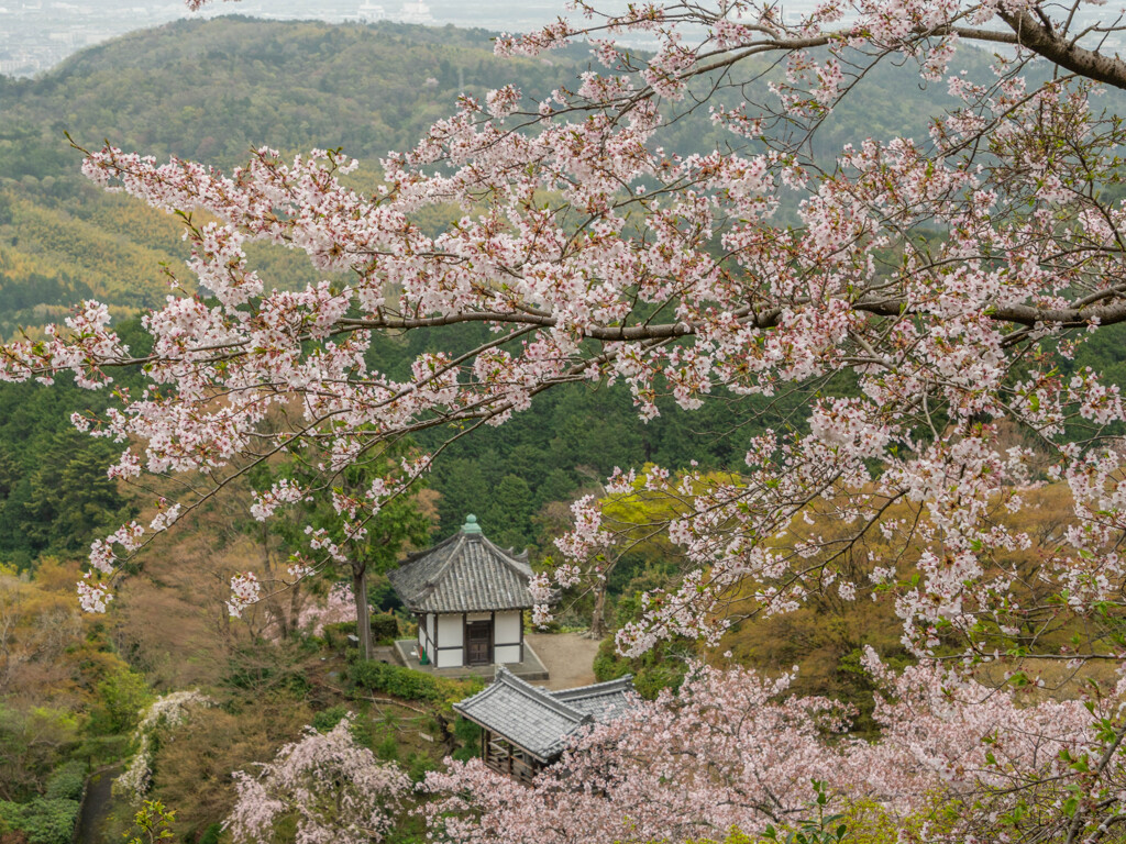 善峯寺