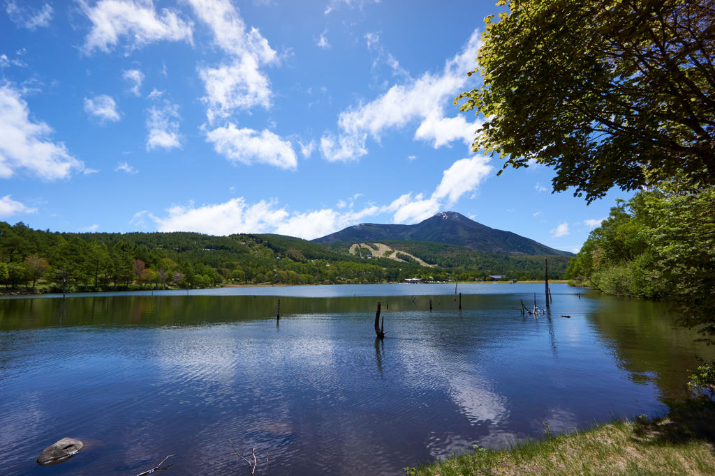 女神湖の初夏