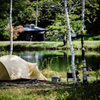 静かな湖畔の・・・MOSS
