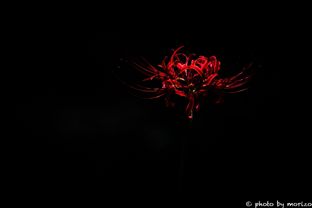 華