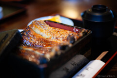 浜名湖に来たので