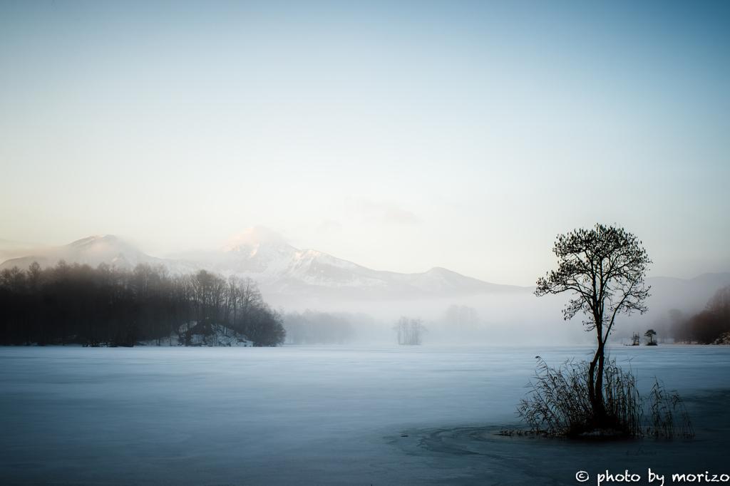 朝景