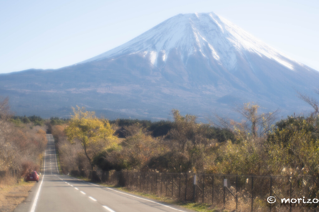 晴れてたので