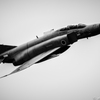 PHANTOM FOREVER