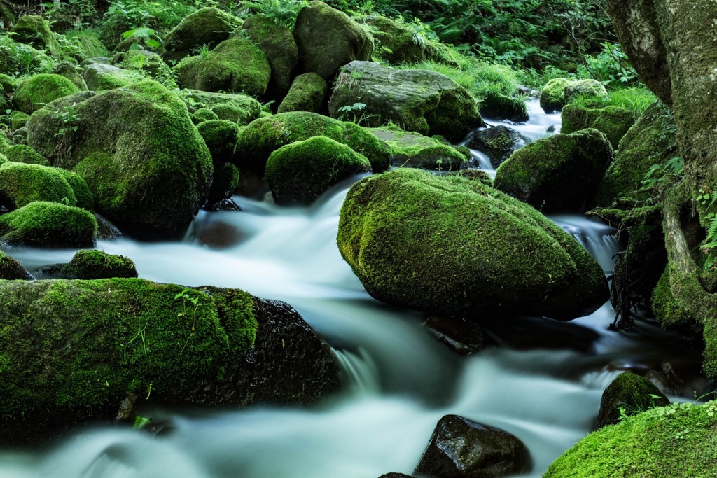 奥大山の天然水ロケ地